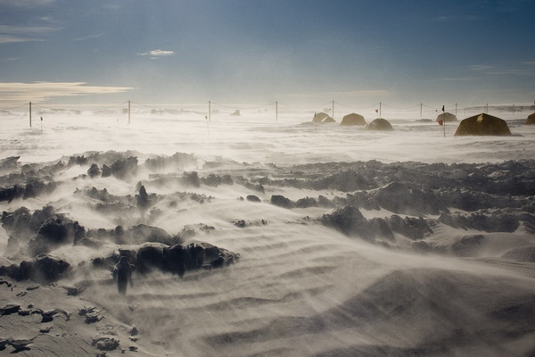 Фотофакт: Невероятные факты о загадочной и суровой Антарктиде