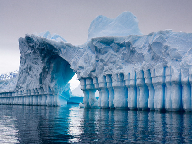 Фотофакт: 20 любопытных фактов об Антарктиде, которых вы не знали