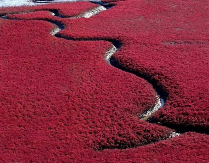 Фотофакт: Двадцать мест на планете, где природа не пожалела красок