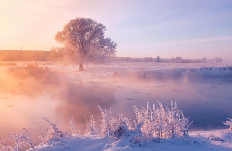 Фотофакт: Невероятная красота зимнего утра