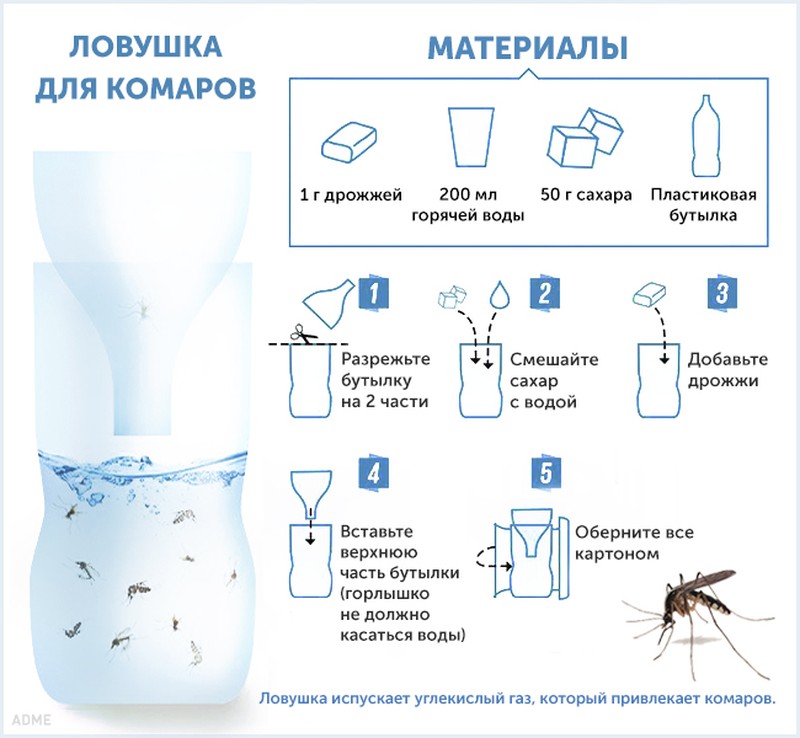 Фотофакт: Десять способов борьбы с комарами и их укусами